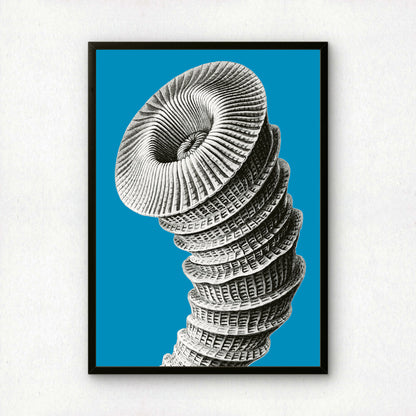 Ernst Haeckel Remixed Art Print 33 | Vintage Illustration | Modern Wall Art