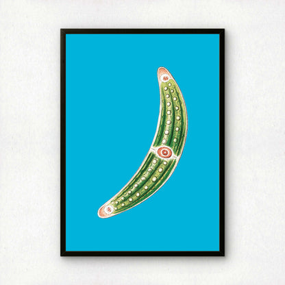 Ernst Haeckel Remixed Art Print 34 | Classic Art Reimagined | Premium Wall Art