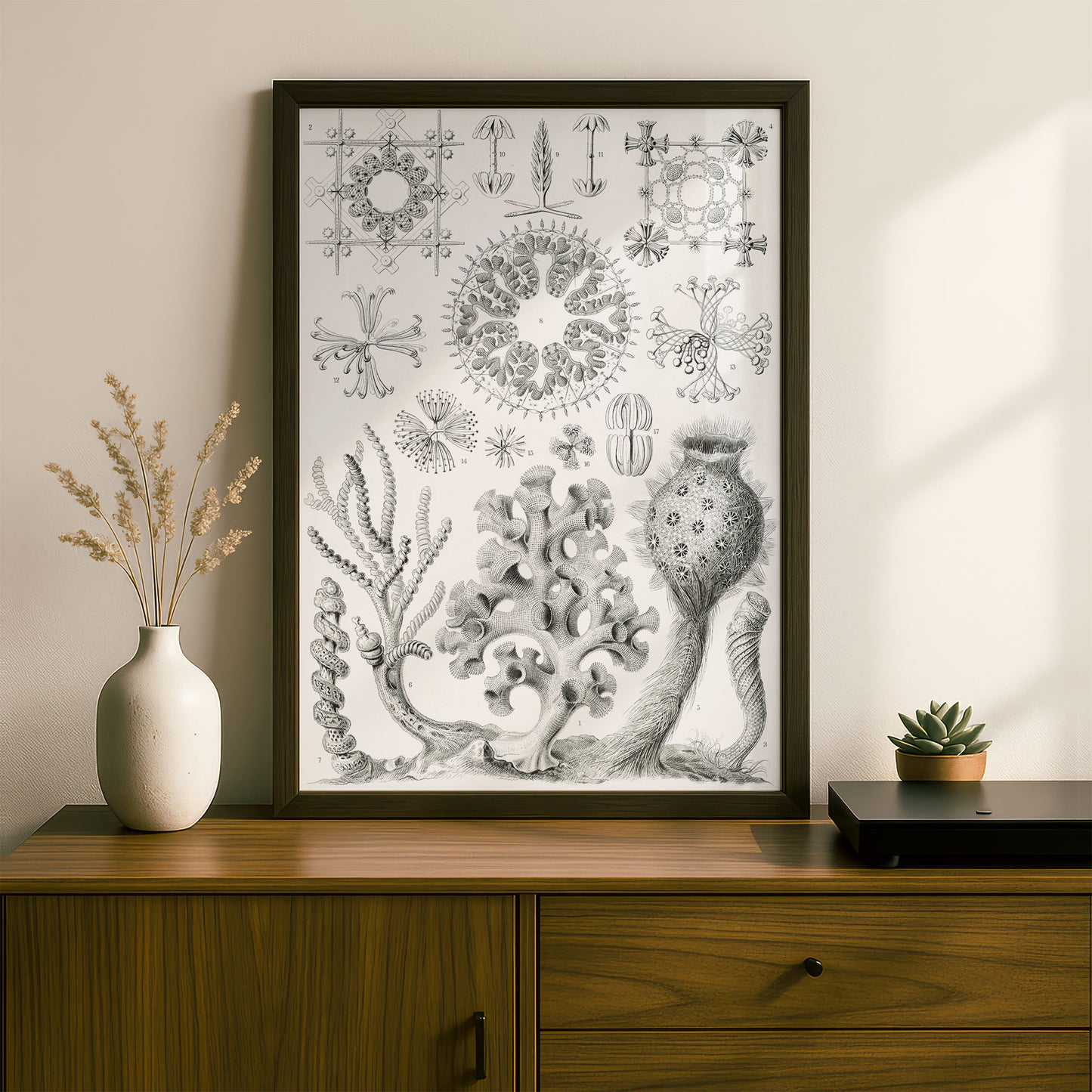 Ernst Haeckel Art Print | Plate 35: Farrea | Quality Vintage Wall Art Poster