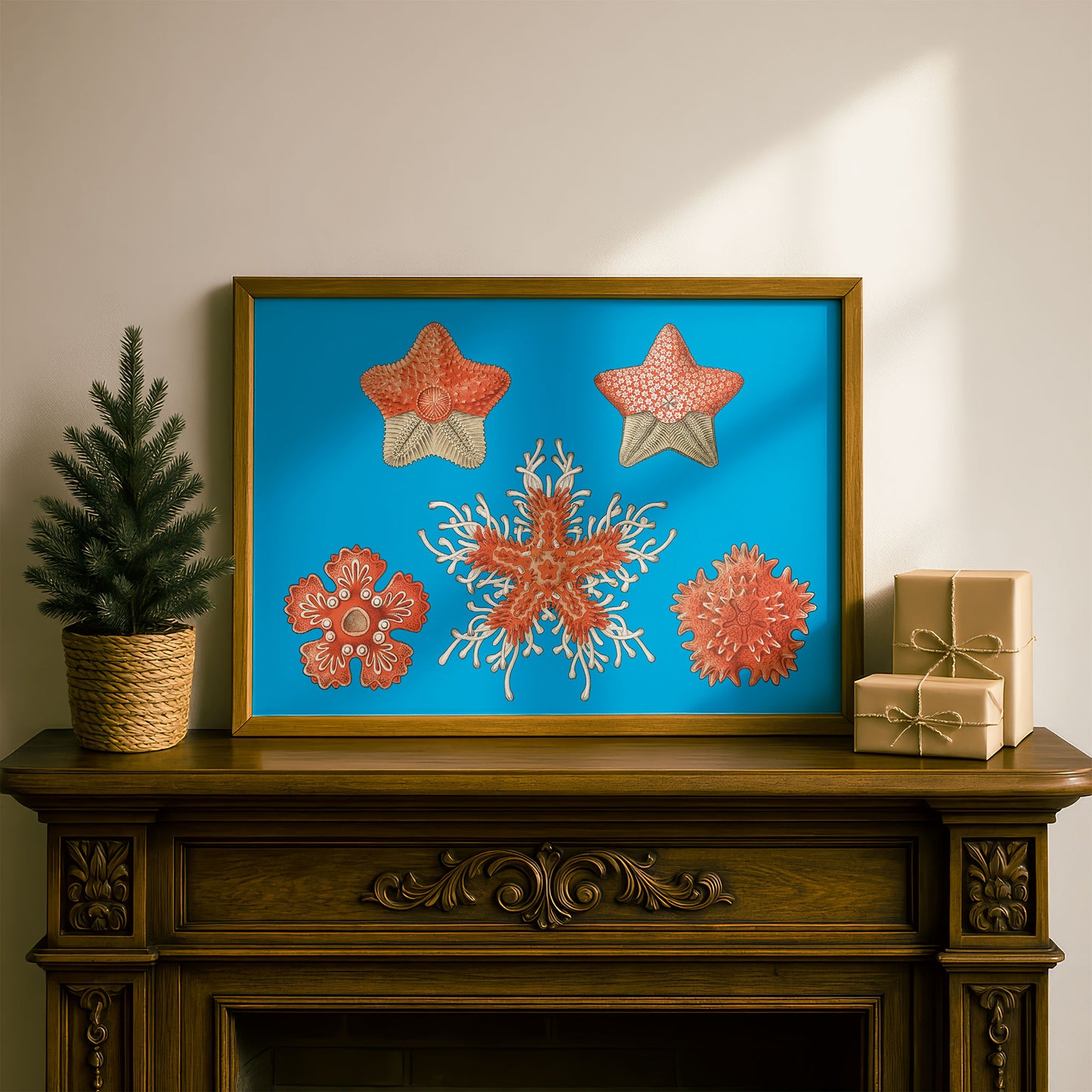 Ernst Haeckel Remixed Art Print 35: "Stars" | Natural History Print | Wall Art