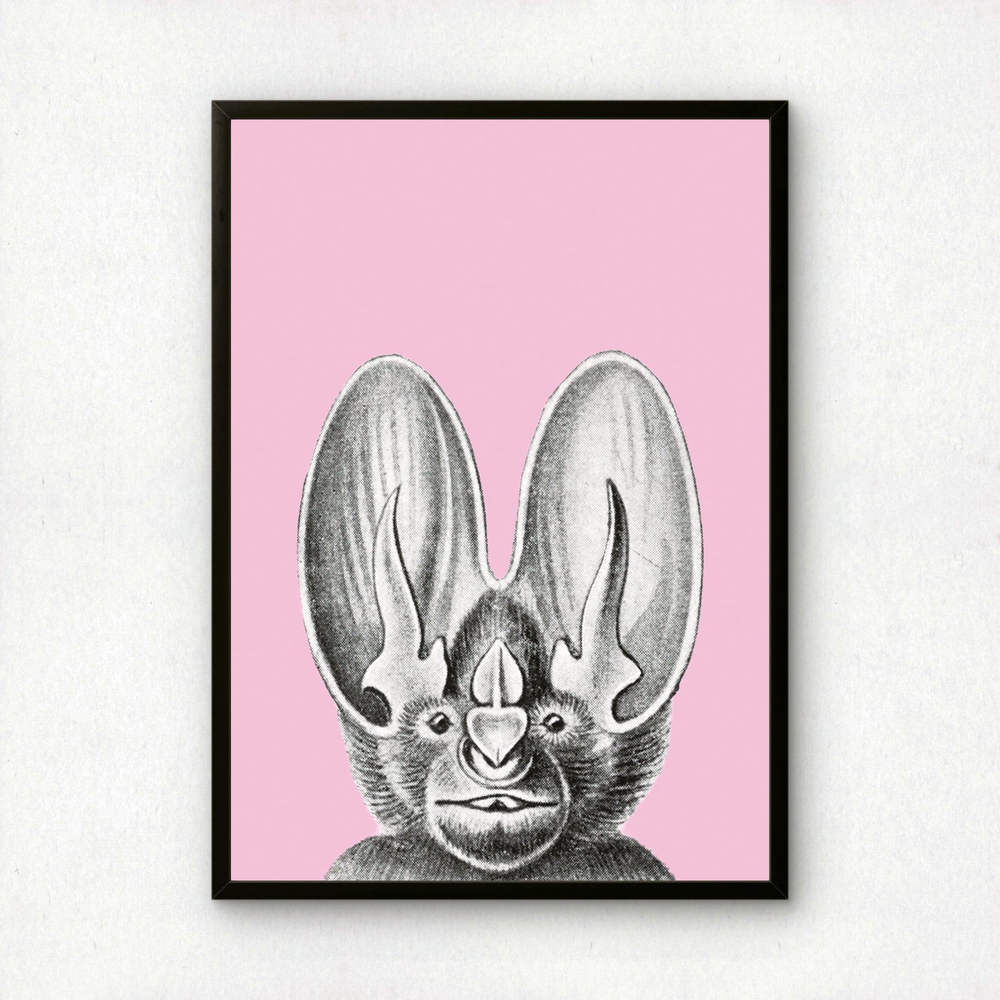 Ernst Haeckel Remixed Art Print 36: Bat | Modern Art Nouveau | Premium Wall Art