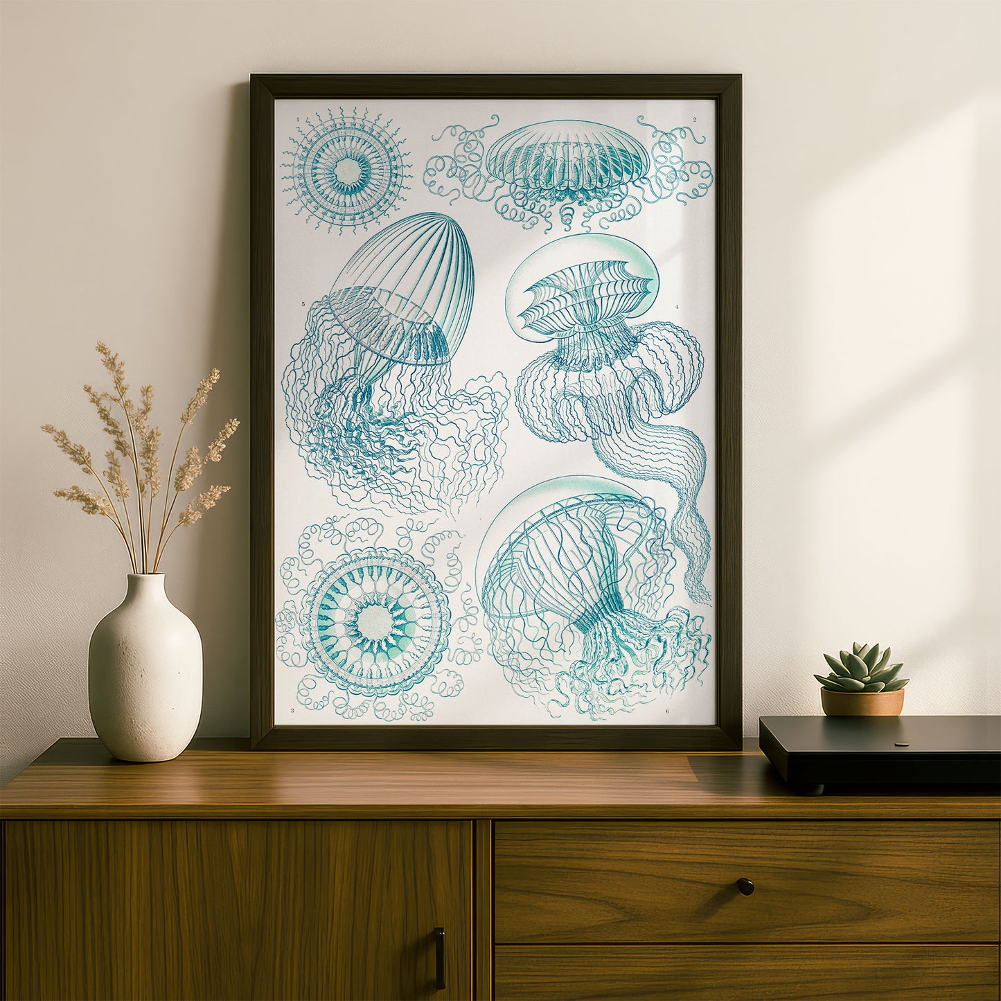 Ernst Haeckel Art Print | Plate 36: Aequorea | Vintage Wall Art Poster
