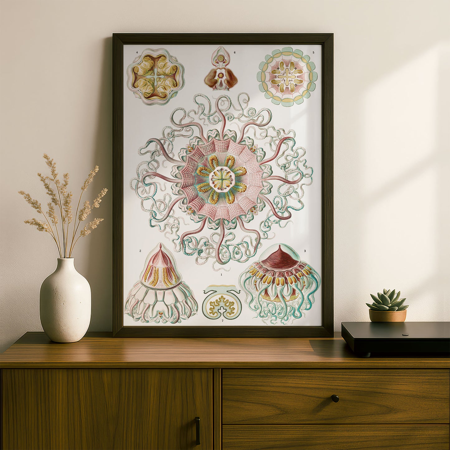 Ernst Haeckel Art Print | Plate 38: Periphylla | Vintage Wall Art Poster