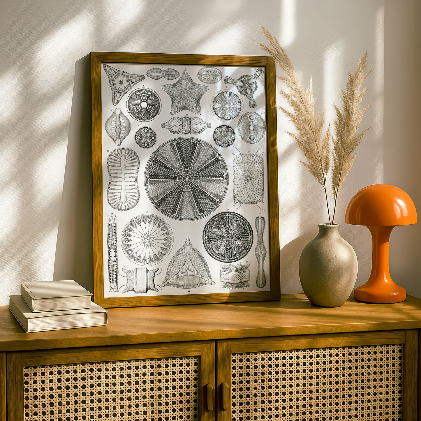 Ernst Haeckel Art Print | Plate 4: Triceratium | Vintage Wall Art Poster