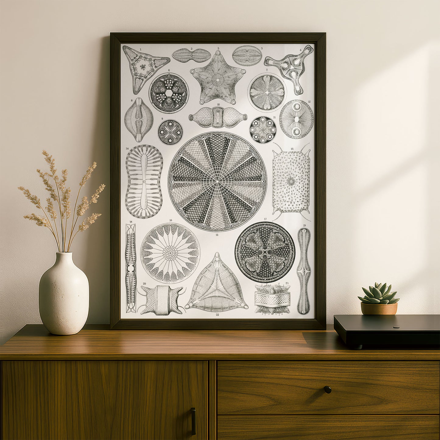 Ernst Haeckel Art Print | Plate 4: Triceratium | Vintage Wall Art Poster