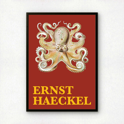 Ernst Haeckel Remixed Art Print 40: Octopus | Premium Wall Art