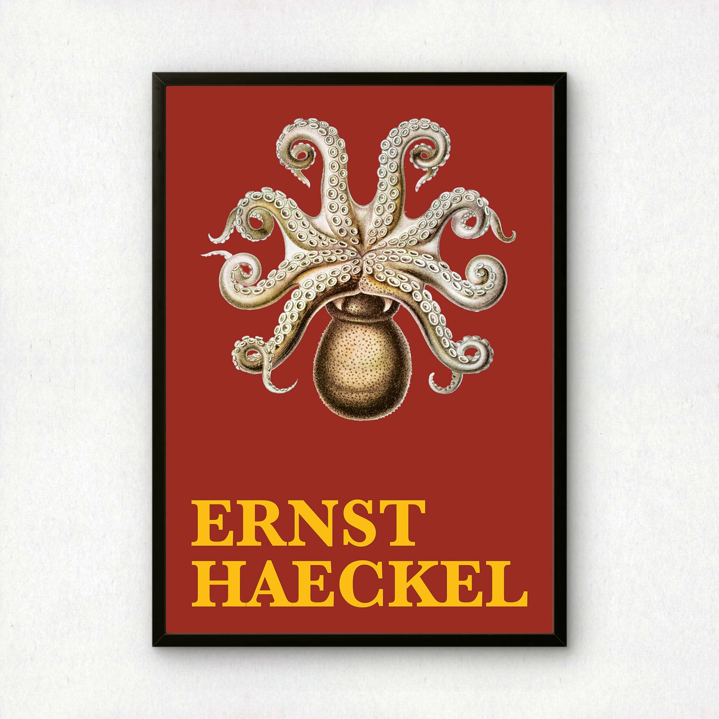 Ernst Haeckel Remixed Art Print 41: Octopus II | Natural History | Wall Art