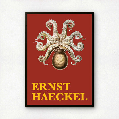 Ernst Haeckel Remixed Art Print 41: Octopus II | Natural History | Wall Art