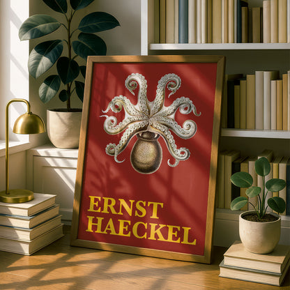 Ernst Haeckel Remixed Art Print 41: Octopus II | Natural History | Wall Art