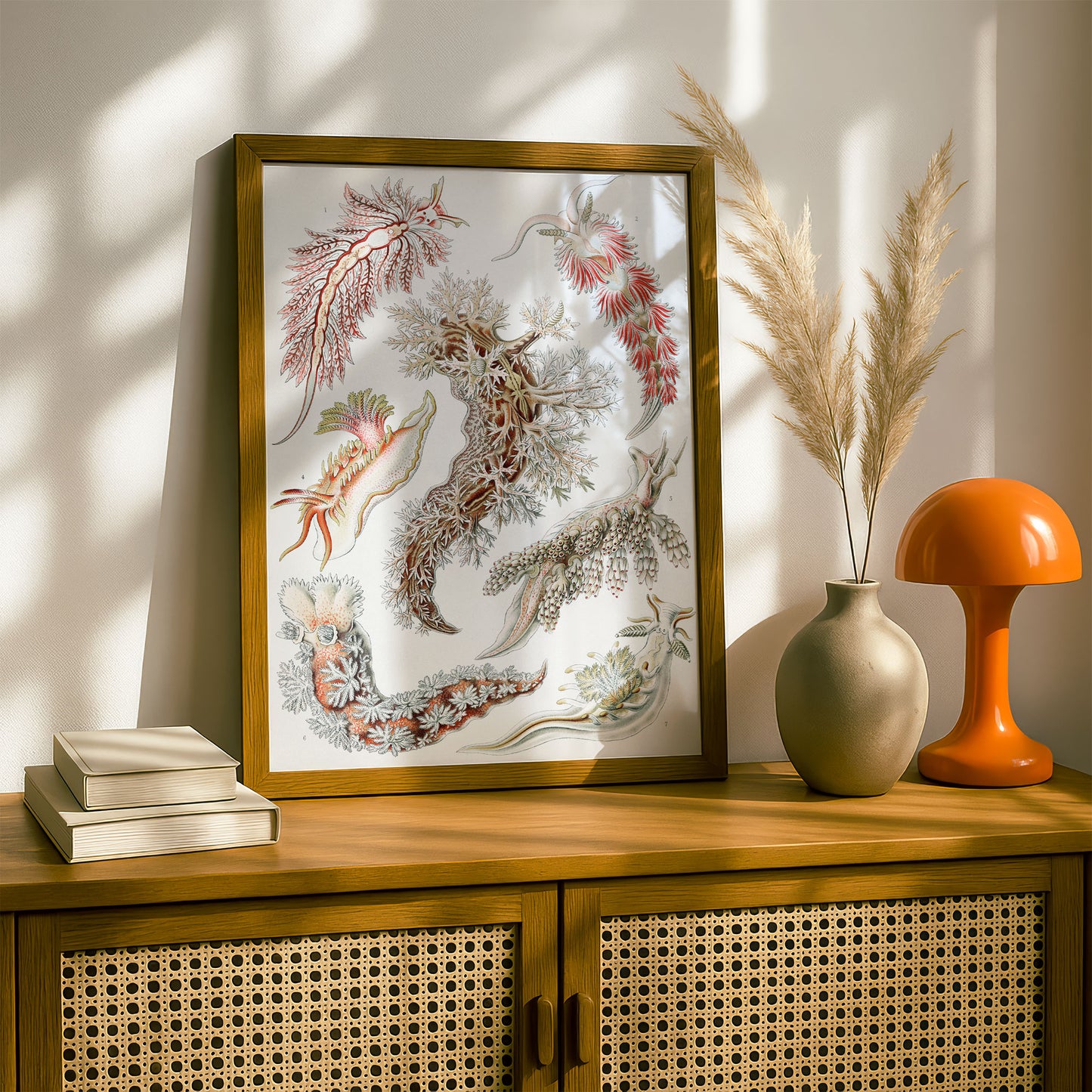 Ernst Haeckel Art Print | Plate 43: Aeolis | Quality Vintage Wall Art Poster