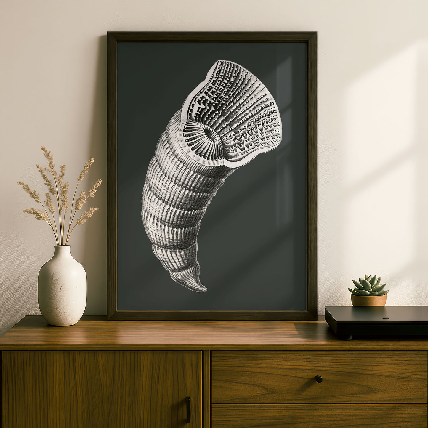 Ernst Haeckel Remixed Art Print 43 | Modern Design | Geometric Wall Art