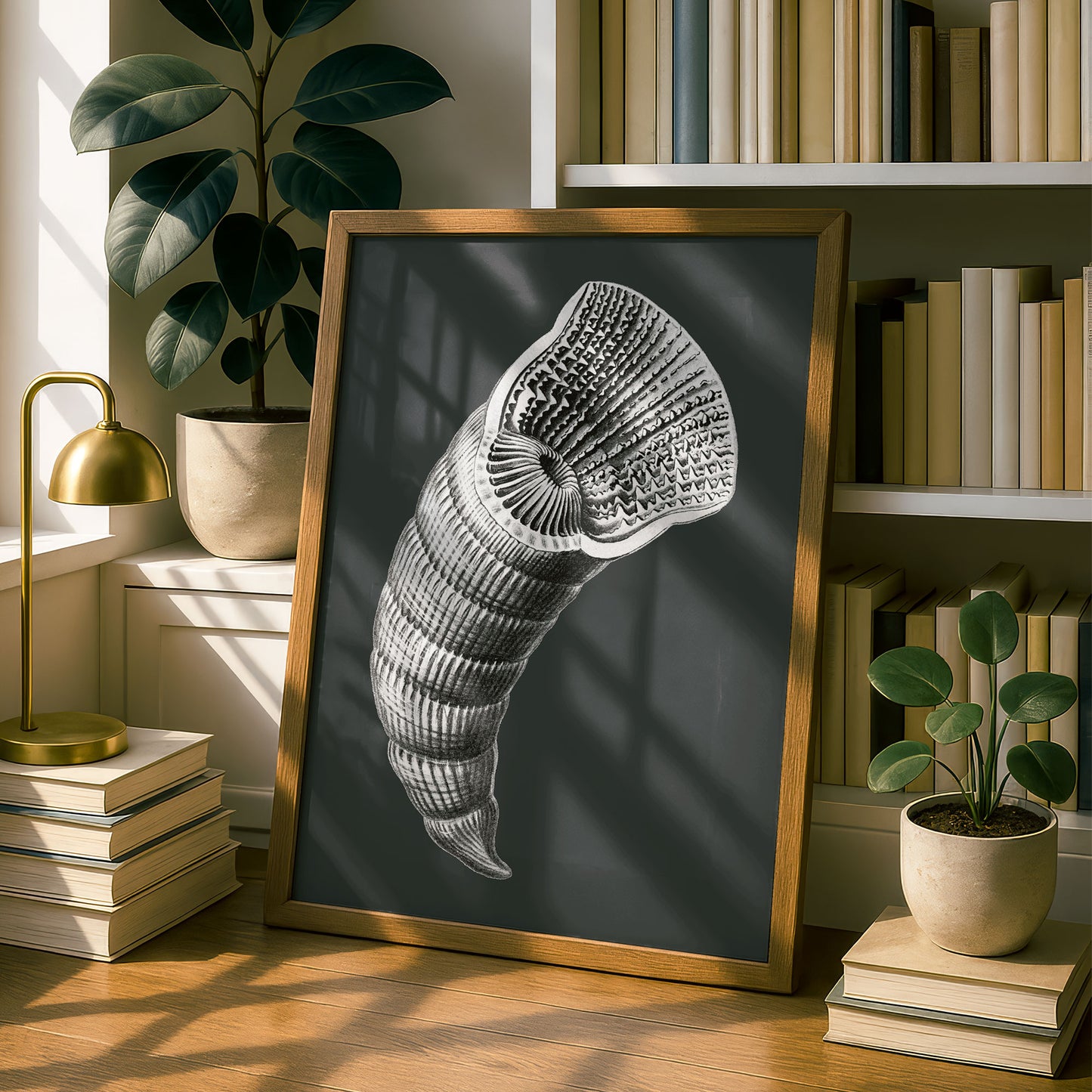 Ernst Haeckel Remixed Art Print 43 | Modern Design | Geometric Wall Art