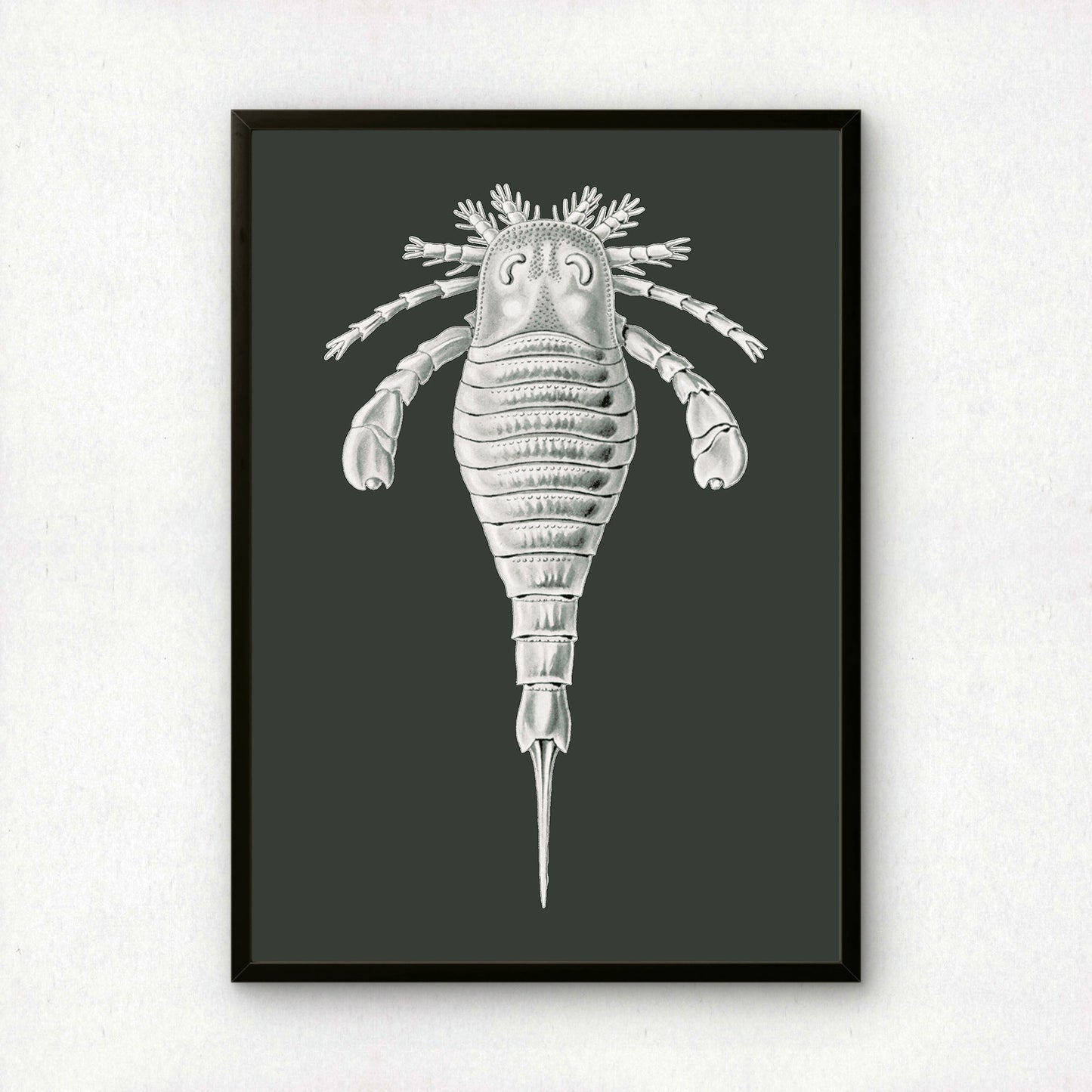 Ernst Haeckel Remixed Art Print 44 | Vintage Art Reimagined | Modern Wall Art