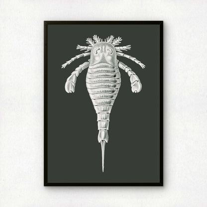 Ernst Haeckel Remixed Art Print 44 | Vintage Art Reimagined | Modern Wall Art