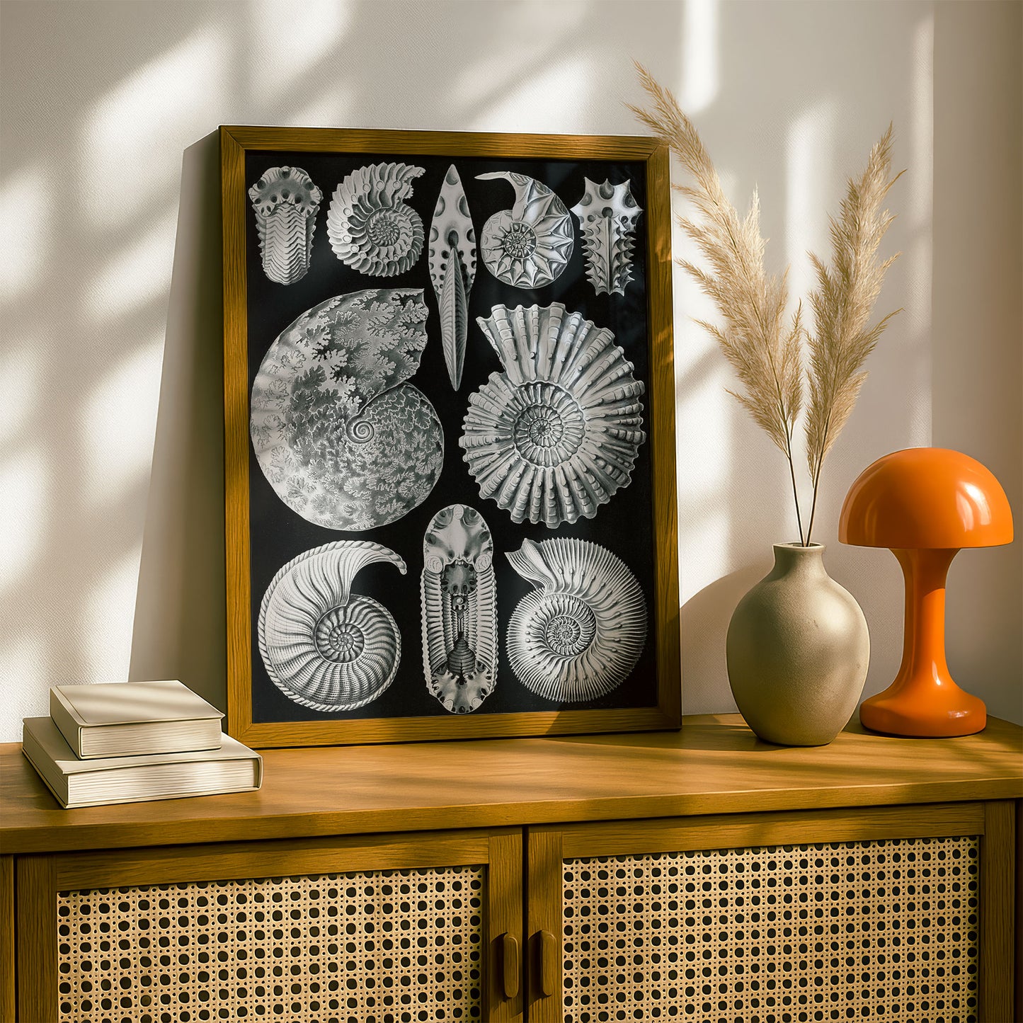 Ernst Haeckel Art Print | Plate 44: Ammonites | Quality Vintage Wall Art Poster