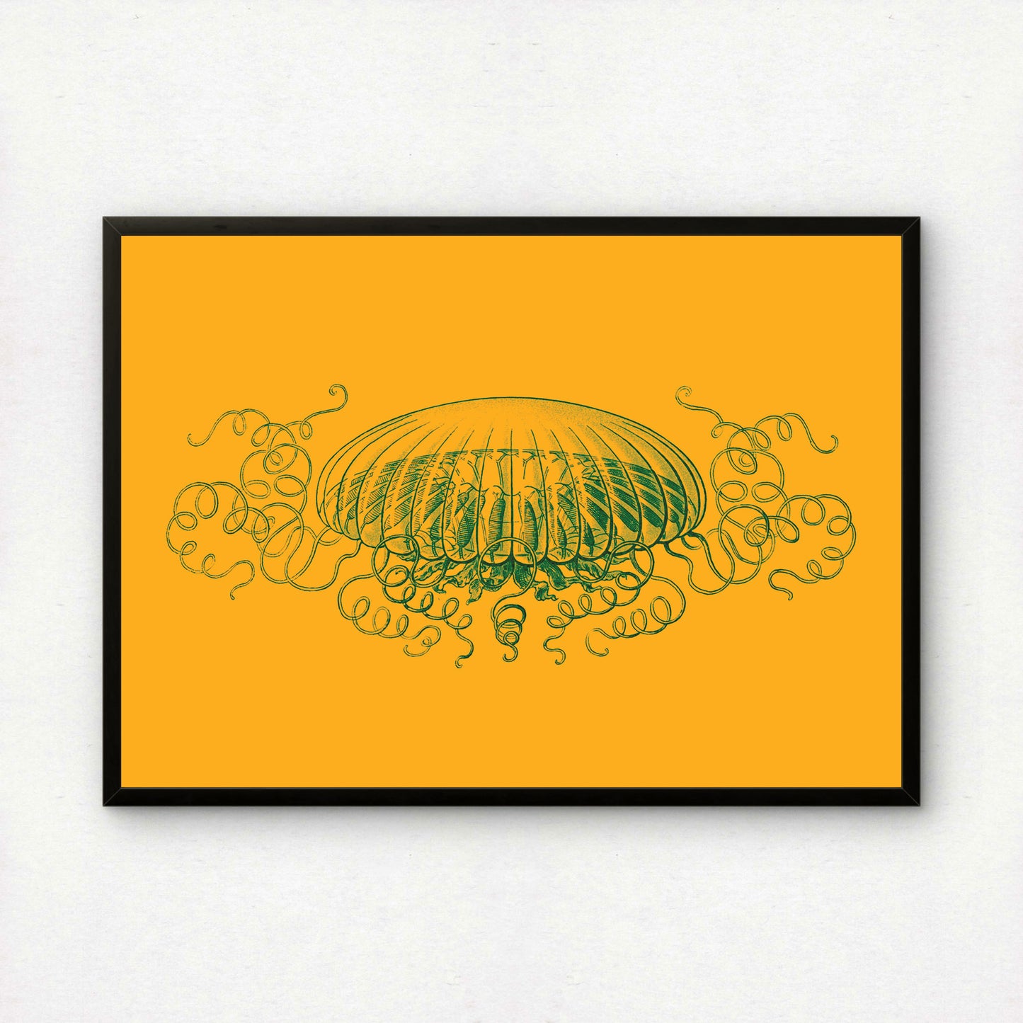 Ernst Haeckel Remixed Art Print 46 | Classic Art Reimagined | Premium Wall Art