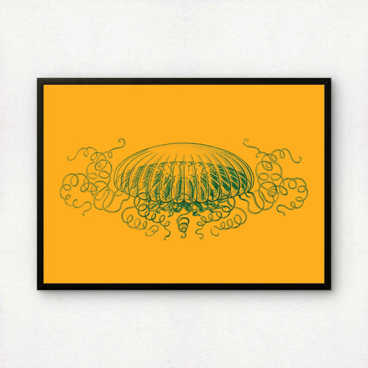 Ernst Haeckel Remixed Art Print 46 | Classic Art Reimagined | Premium Wall Art