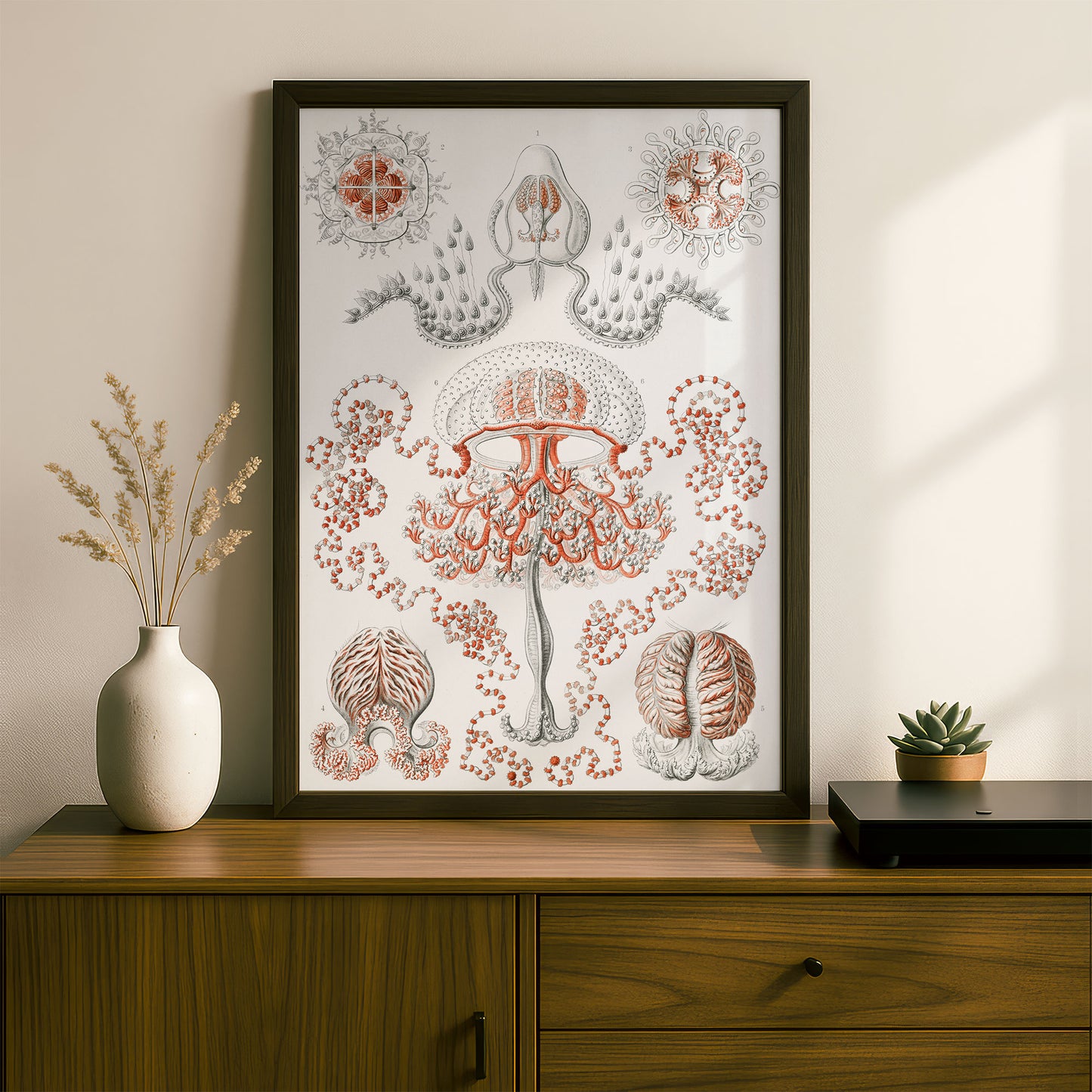Ernst Haeckel Art Print | Plate 46: Gemmaria | Quality Vintage Wall Art Poster