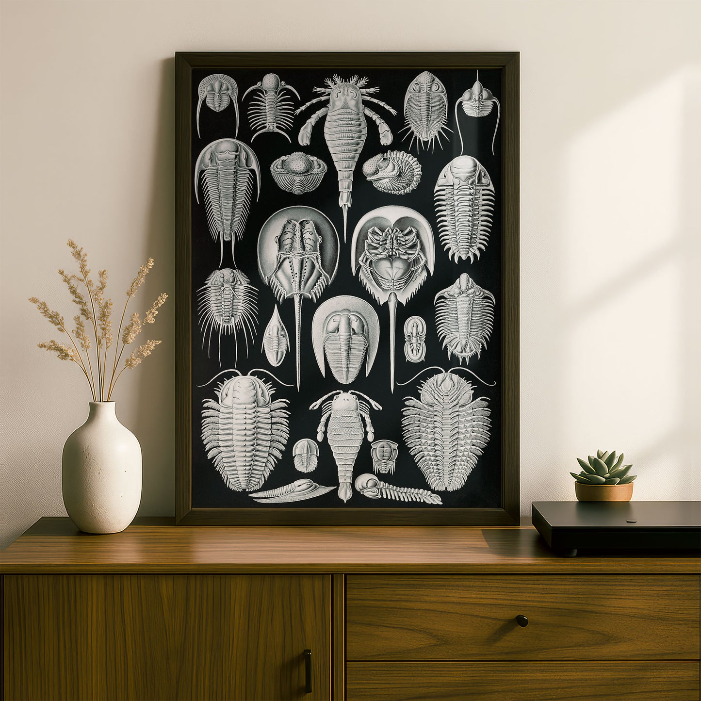 Ernst Haeckel Art Print | Plate 47: Limulus | Quality Vintage Wall Art Poster