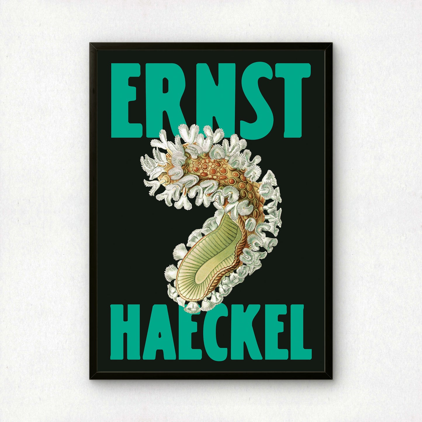 Ernst Haeckel Remixed Art Print 05 | Natural History Print | Premium Wall Art
