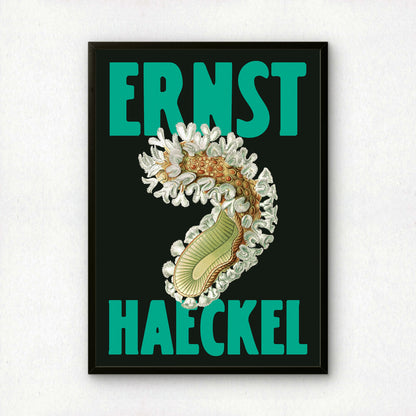 Ernst Haeckel Remixed Art Print 05 | Natural History Print | Premium Wall Art