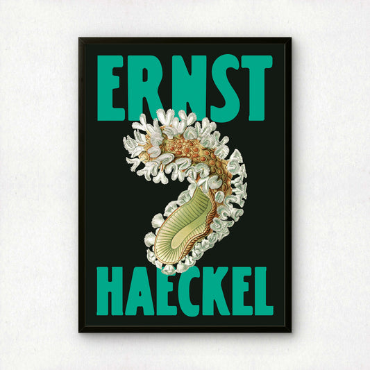 Ernst Haeckel Remixed Art Print 05 | Natural History Print | Premium Wall Art