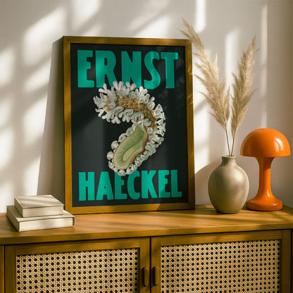 Ernst Haeckel Remixed Art Print 05 | Natural History Print | Premium Wall Art