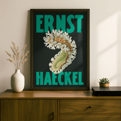Ernst Haeckel Remixed Art Print 05 | Natural History Print | Premium Wall Art