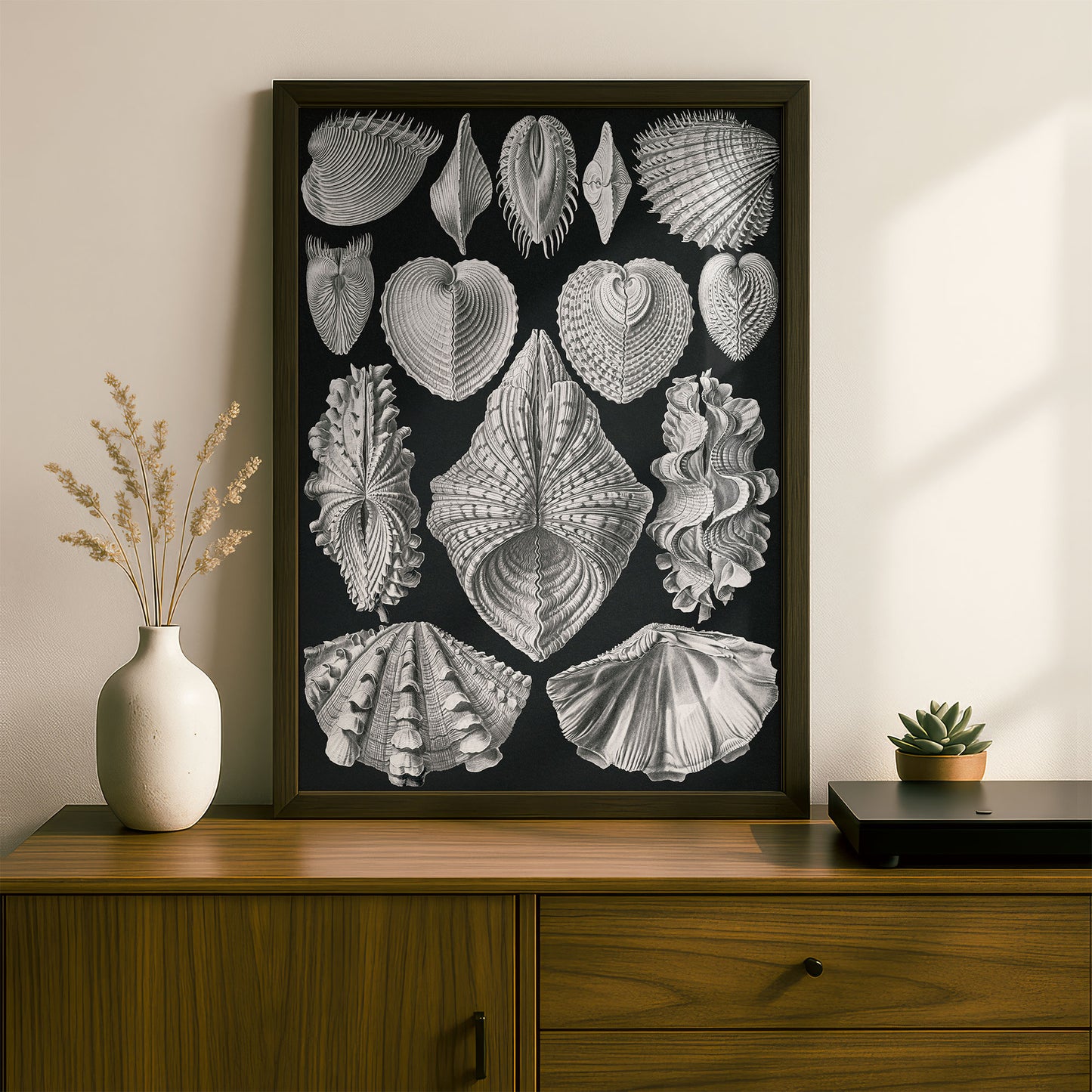 Ernst Haeckel Art Print | Plate 55: Cytherea | Vintage Wall Art Poster