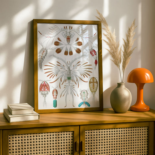 Ernst Haeckel Art Print | Plate 56: Calanus | Quality Vintage Wall Art Poster