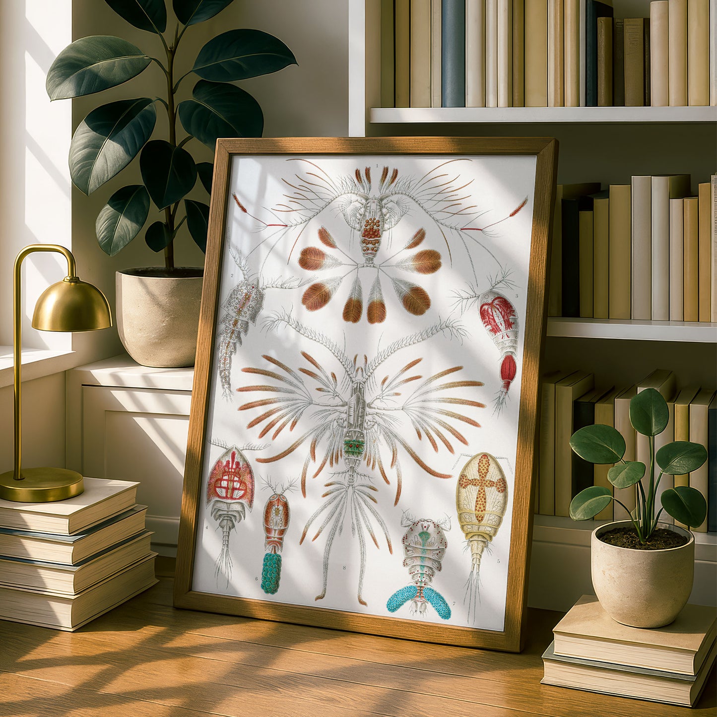 Ernst Haeckel Art Print | Plate 56: Calanus | Quality Vintage Wall Art Poster