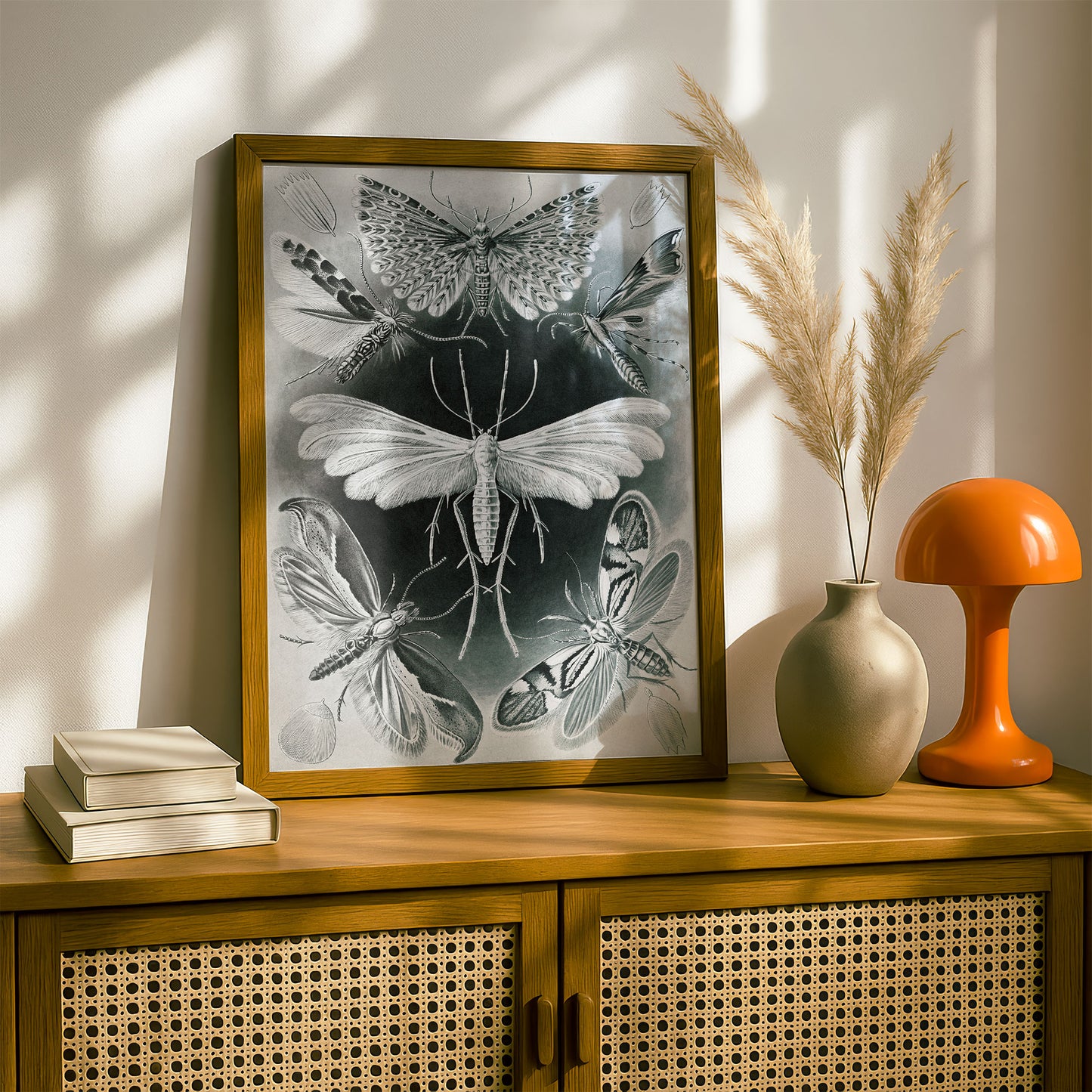Ernst Haeckel Art Print | Plate 58: Alucita | Quality Vintage Wall Art Poster