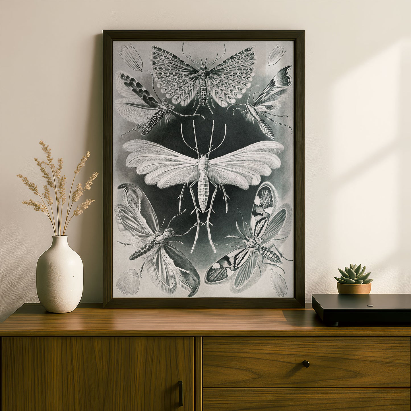 Ernst Haeckel Art Print | Plate 58: Alucita | Quality Vintage Wall Art Poster