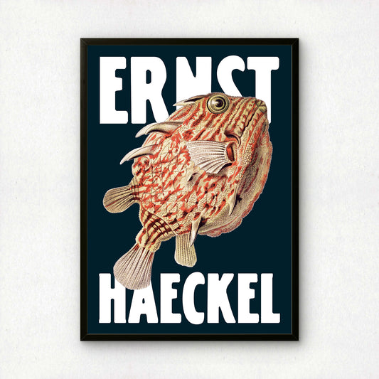 Ernst Haeckel Remixed Art Print 06 | Modern Art Nouveau | Premium Wall Art