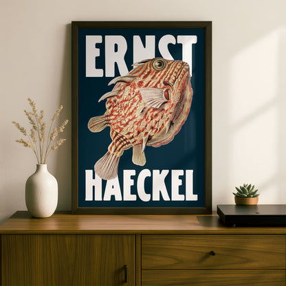 Ernst Haeckel Remixed Art Print 06 | Modern Art Nouveau | Premium Wall Art