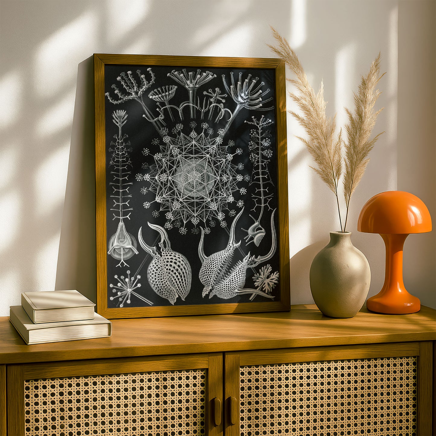 Ernst Haeckel Art Print | Plate 61: Aulographis | Vintage Wall Art Poster