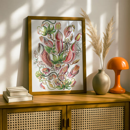 Ernst Haeckel Art Print | Plate 62: Nepenthes | Vintage Wall Art Poster