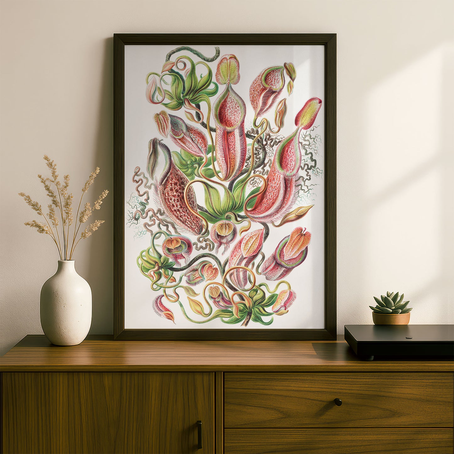 Ernst Haeckel Art Print | Plate 62: Nepenthes | Vintage Wall Art Poster
