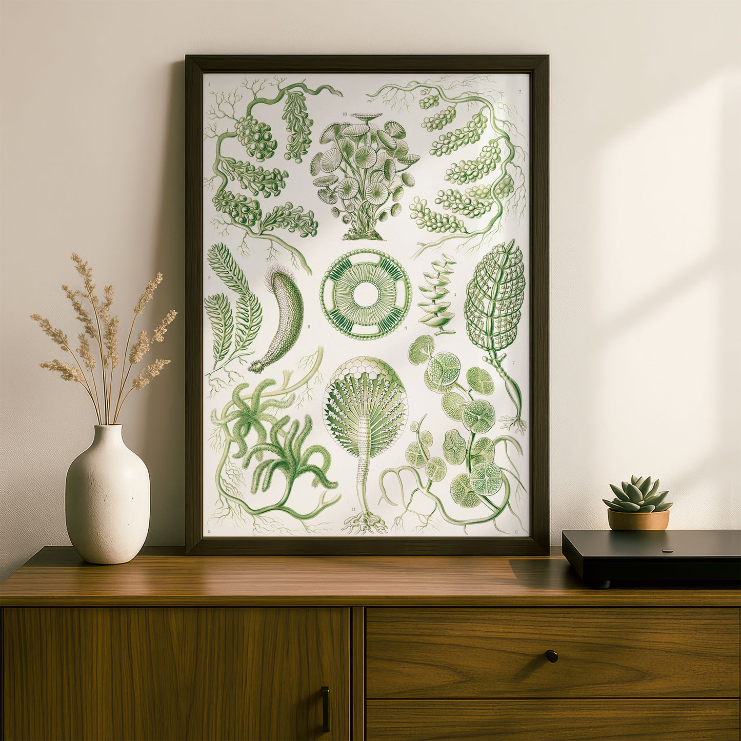 Ernst Haeckel Art Print | Plate 64: Caulerpa | Quality Vintage Wall Art Poster