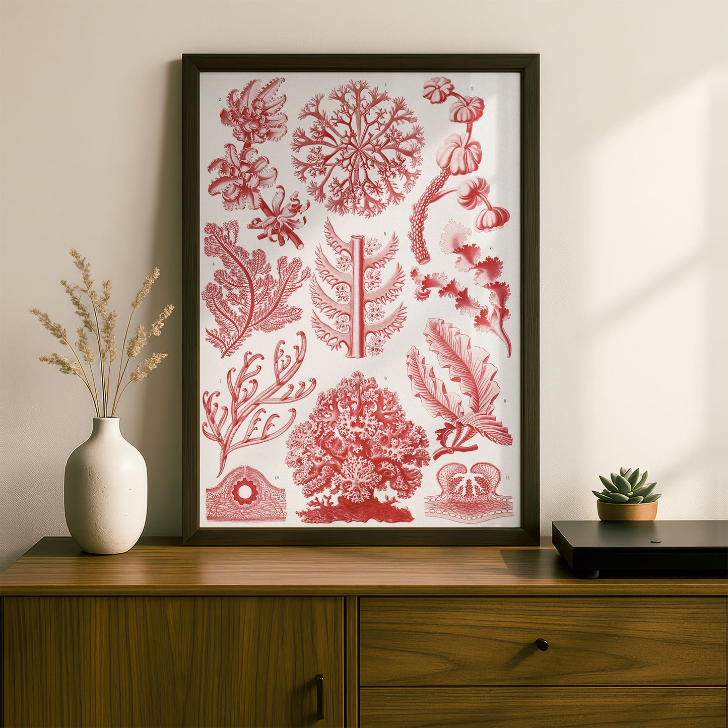 Ernst Haeckel Art Print | Plate 65: Delesseria | Quality Vintage Wall Art Poster