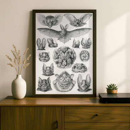 Ernst Haeckel Art Print | Plate 67: Vampyrus | Quality Vintage Wall Art Poster