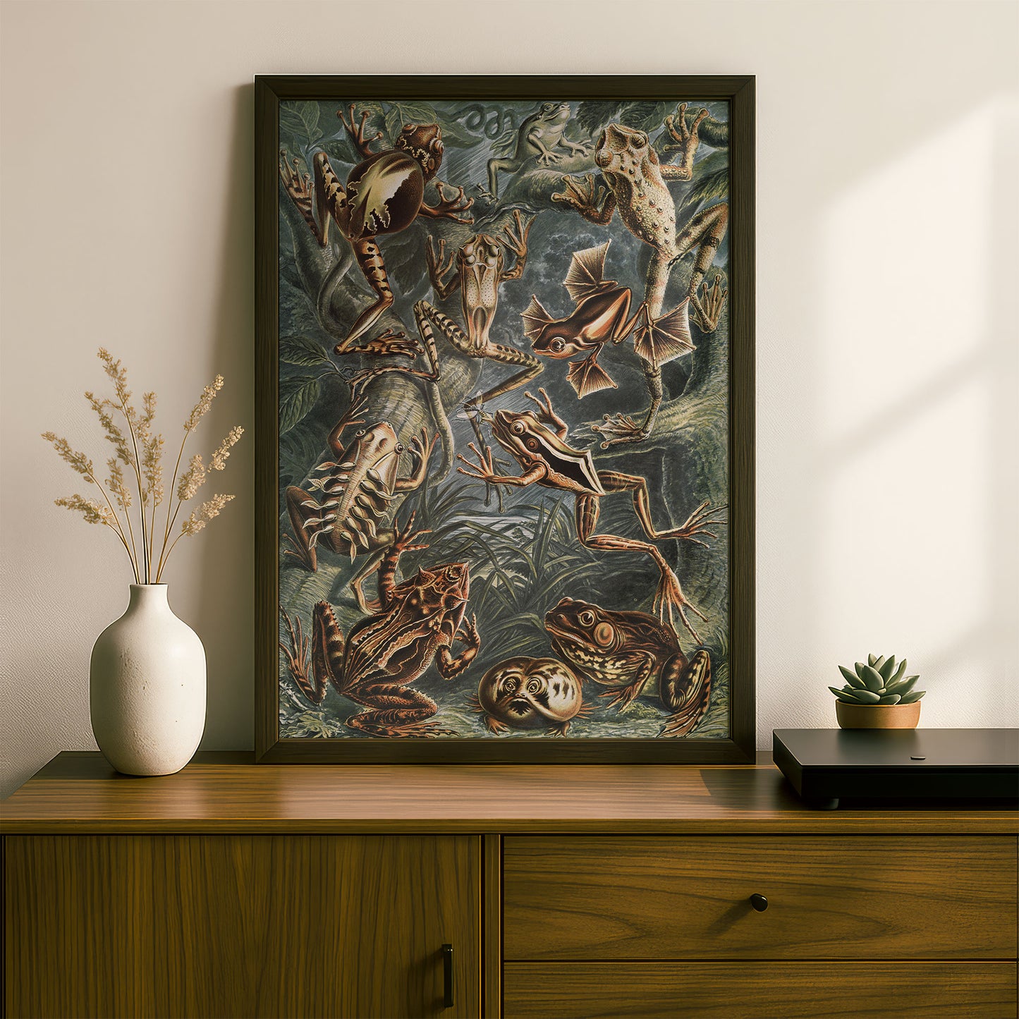 Ernst Haeckel Art Print | Plate 68: Hyla | Quality Vintage Wall Art Poster