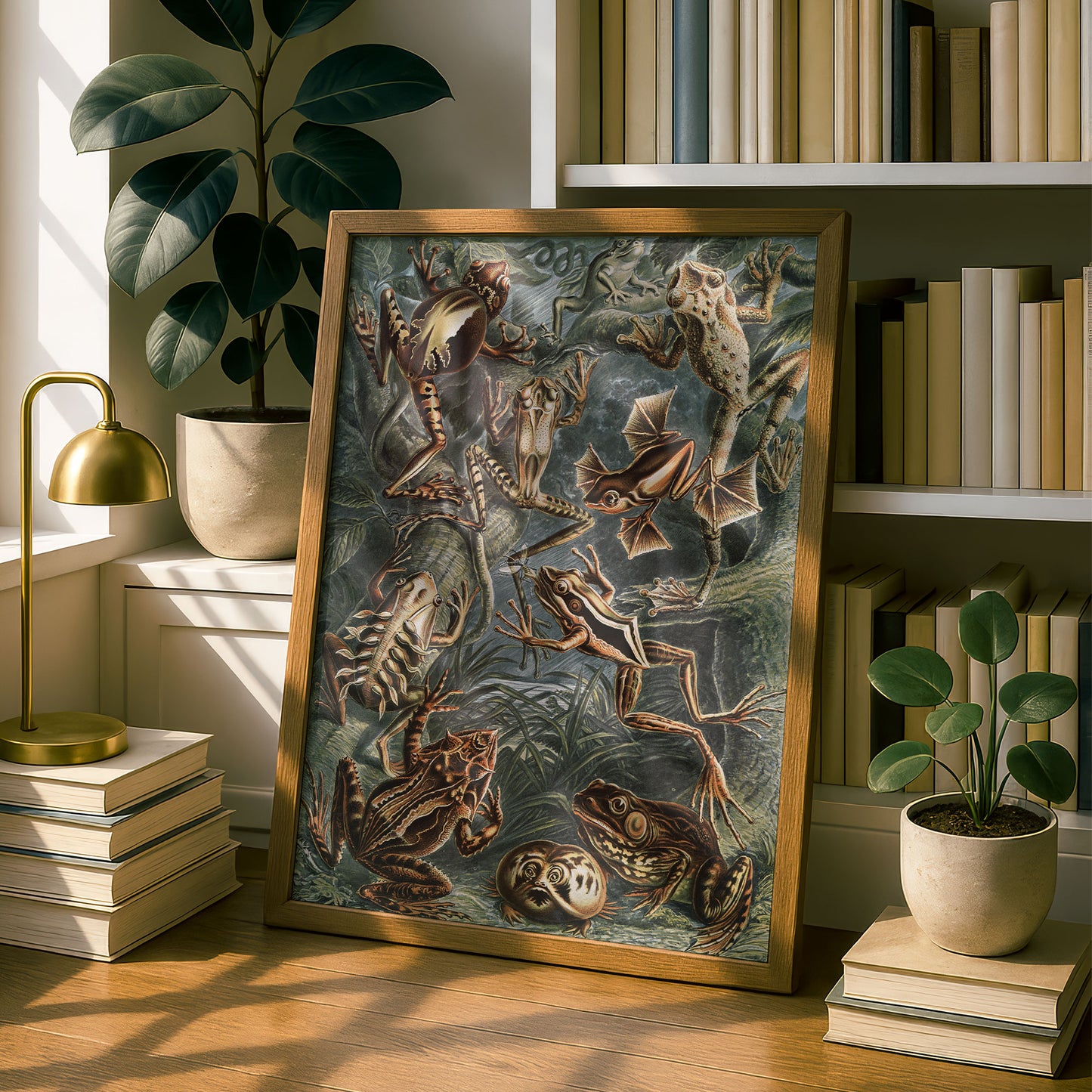 Ernst Haeckel Art Print | Plate 68: Hyla | Quality Vintage Wall Art Poster