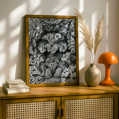 Ernst Haeckel Art Print | Plate 69: Turbinaria | Vintage Wall Art Poster