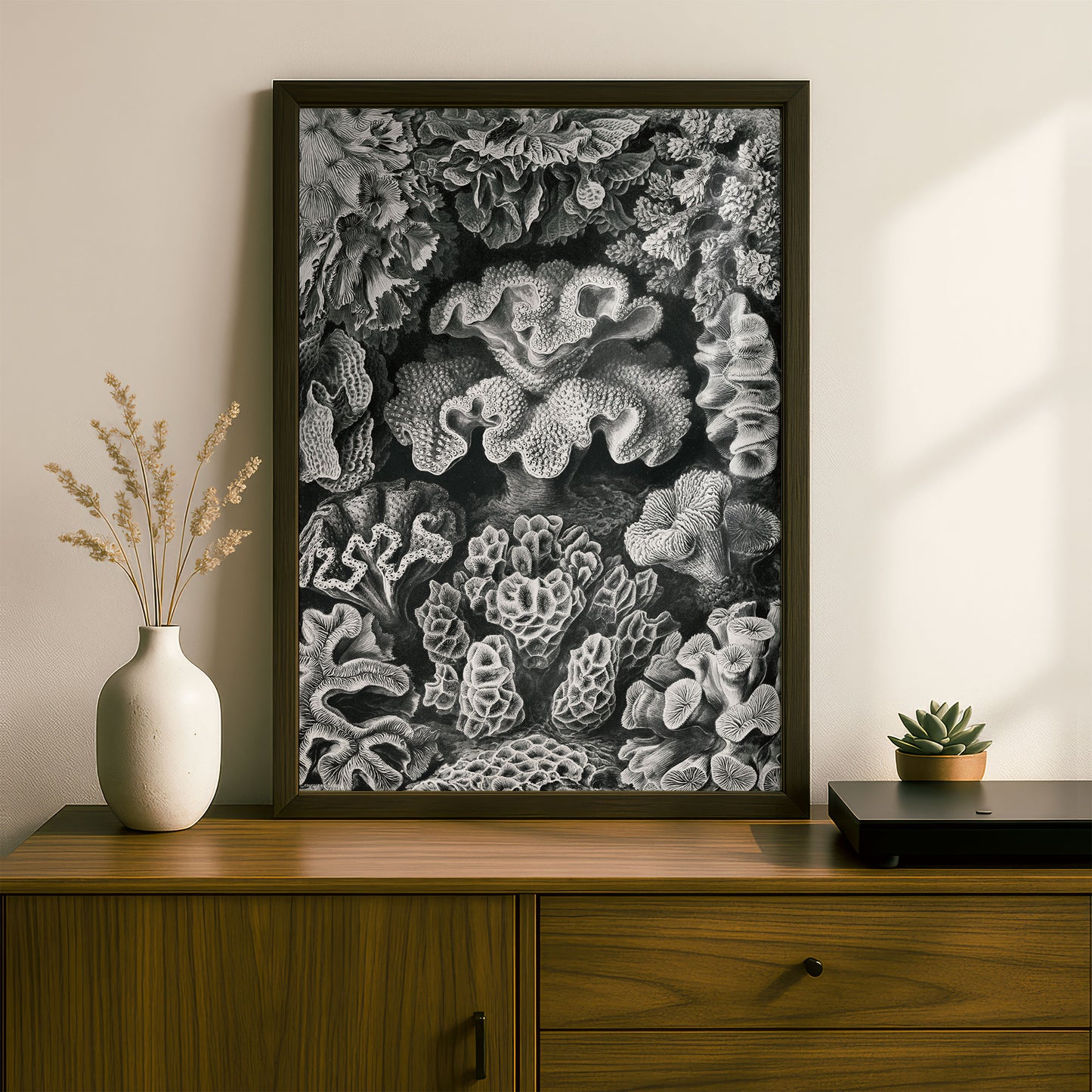 Ernst Haeckel Art Print | Plate 69: Turbinaria | Vintage Wall Art Poster