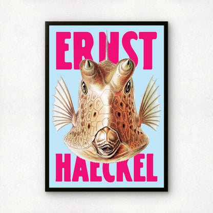 Ernst Haeckel Remixed Art Print 07 | Modern Design | Geometric Wall Art