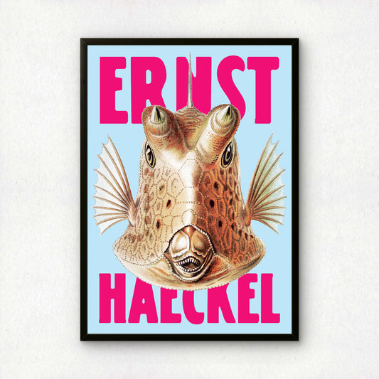 Ernst Haeckel Remixed Art Print 07 | Modern Design | Geometric Wall Art