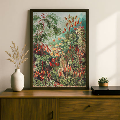 Ernst Haeckel Art Print | Plate 72: Polytrichum | Vintage Wall Art Poster