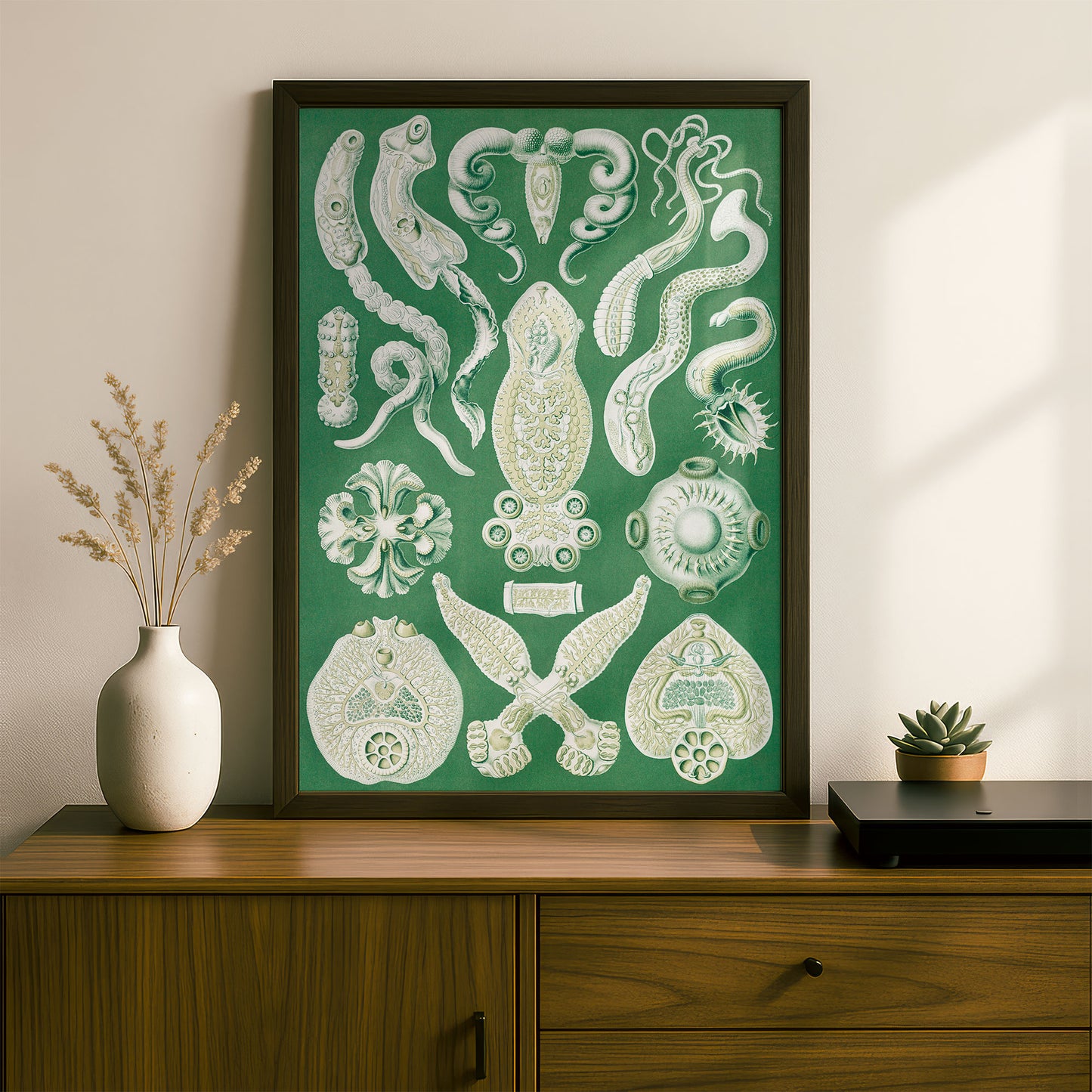 Ernst Haeckel Art Print | Plate 75: Diplozoon | Vintage Wall Art Poster