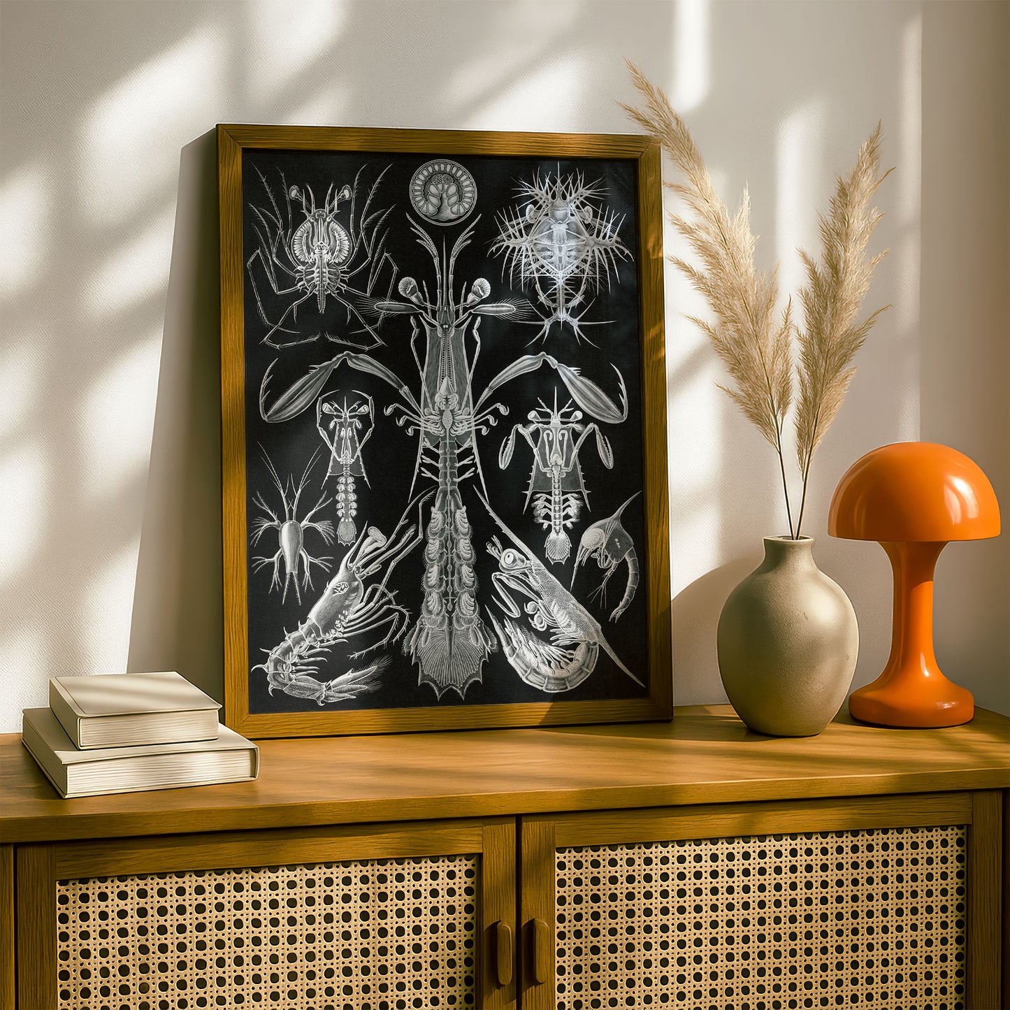 Ernst Haeckel Art Print | Plate 76: Alima | Quality Vintage Wall Art Poster